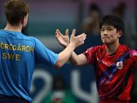 开云体育在线-波兰乒乓球队碾压法国乒乓球队，张本智和送出助攻的简单介绍