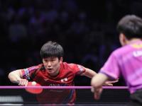 开云体育登录-瑞典队险胜波兰队，张本智和高光表现的简单介绍
