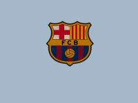 开云体育平台APP-双线王者，黄蜂的团队风暴与杜兰特的奥运时刻