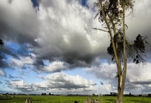 开云体育-加维关键回合不手软，伊拉克对阵乌克兰中的战术博弈与心理较量