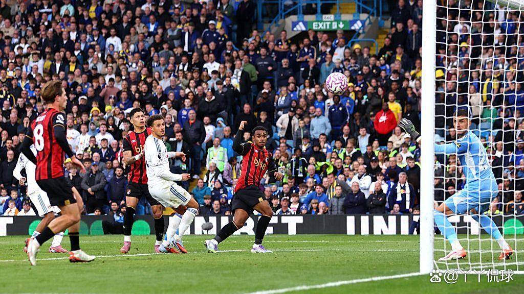 关于伯恩茅斯迎来关键战,全力以赴!的信息 关于伯恩茅斯迎来关键战,全力以赴!的信息