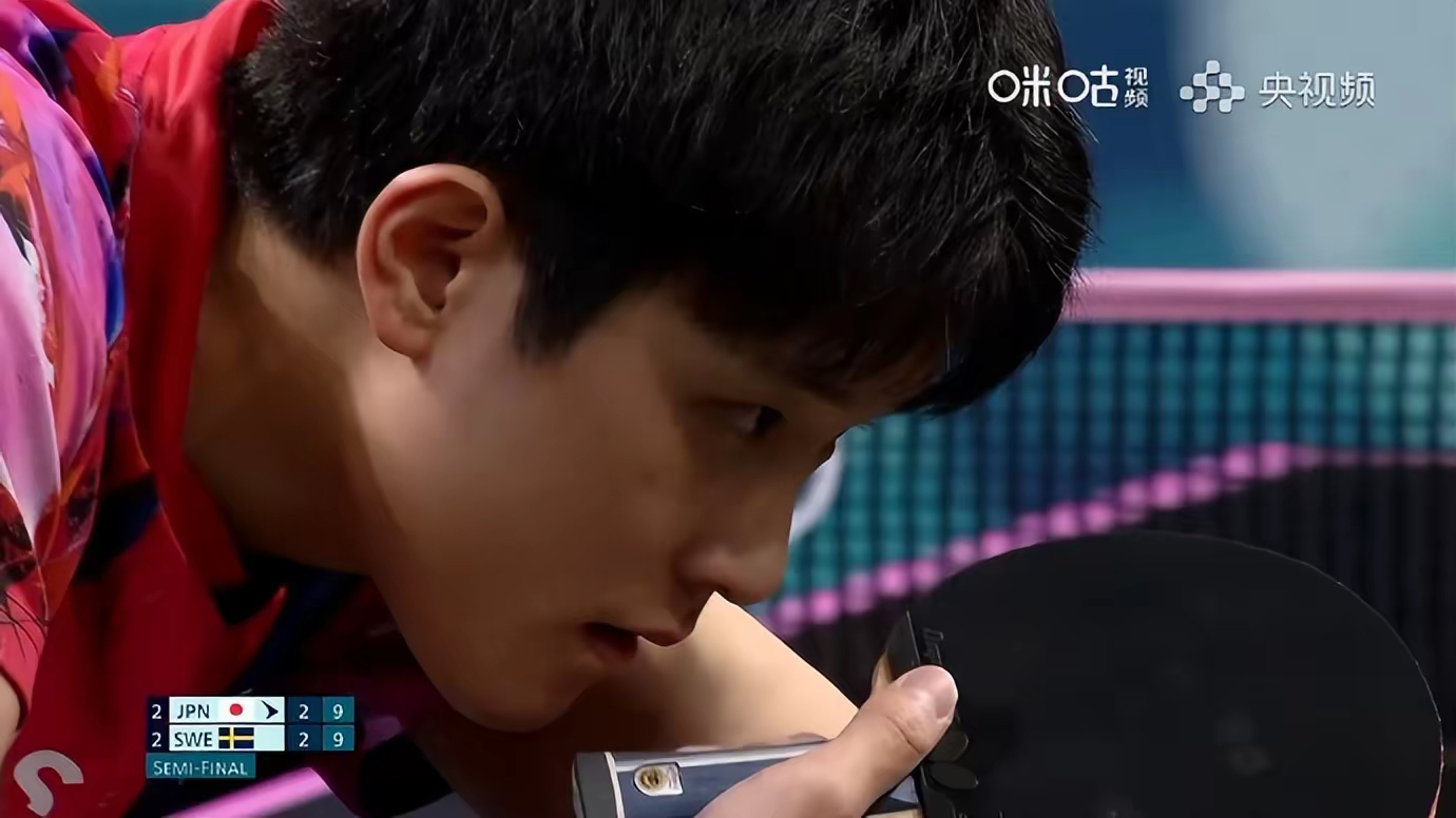 瑞典队险胜波兰队，张本智和高光表现的简单介绍