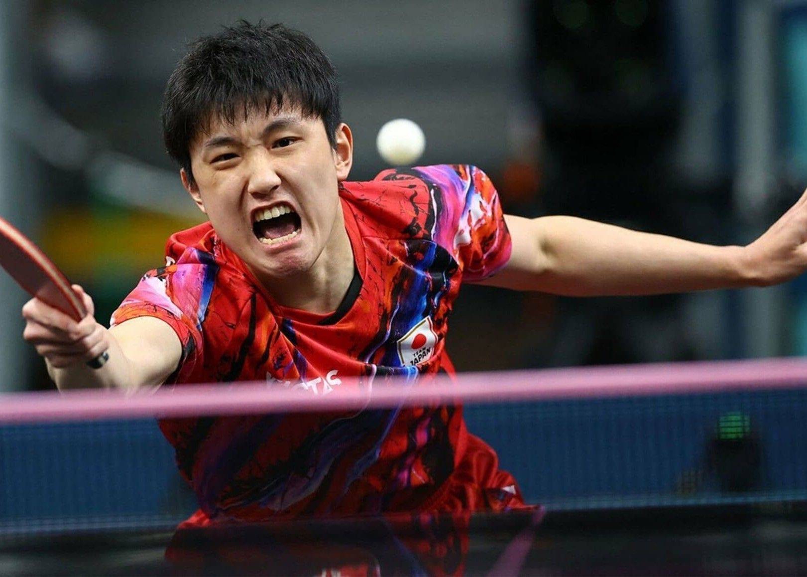 关于奥地利队绝杀法国队,张本智和扛起全队的信息 关于奥地利队绝杀法国队,张本智和扛起全队的信息