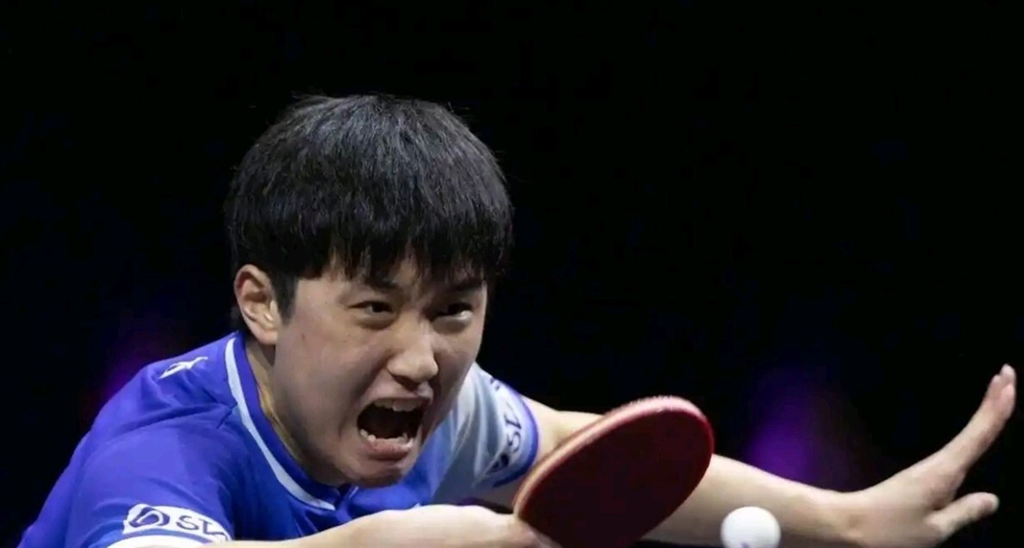 关于奥地利队绝杀法国队,张本智和扛起全队的信息 关于奥地利队绝杀法国队,张本智和扛起全队的信息