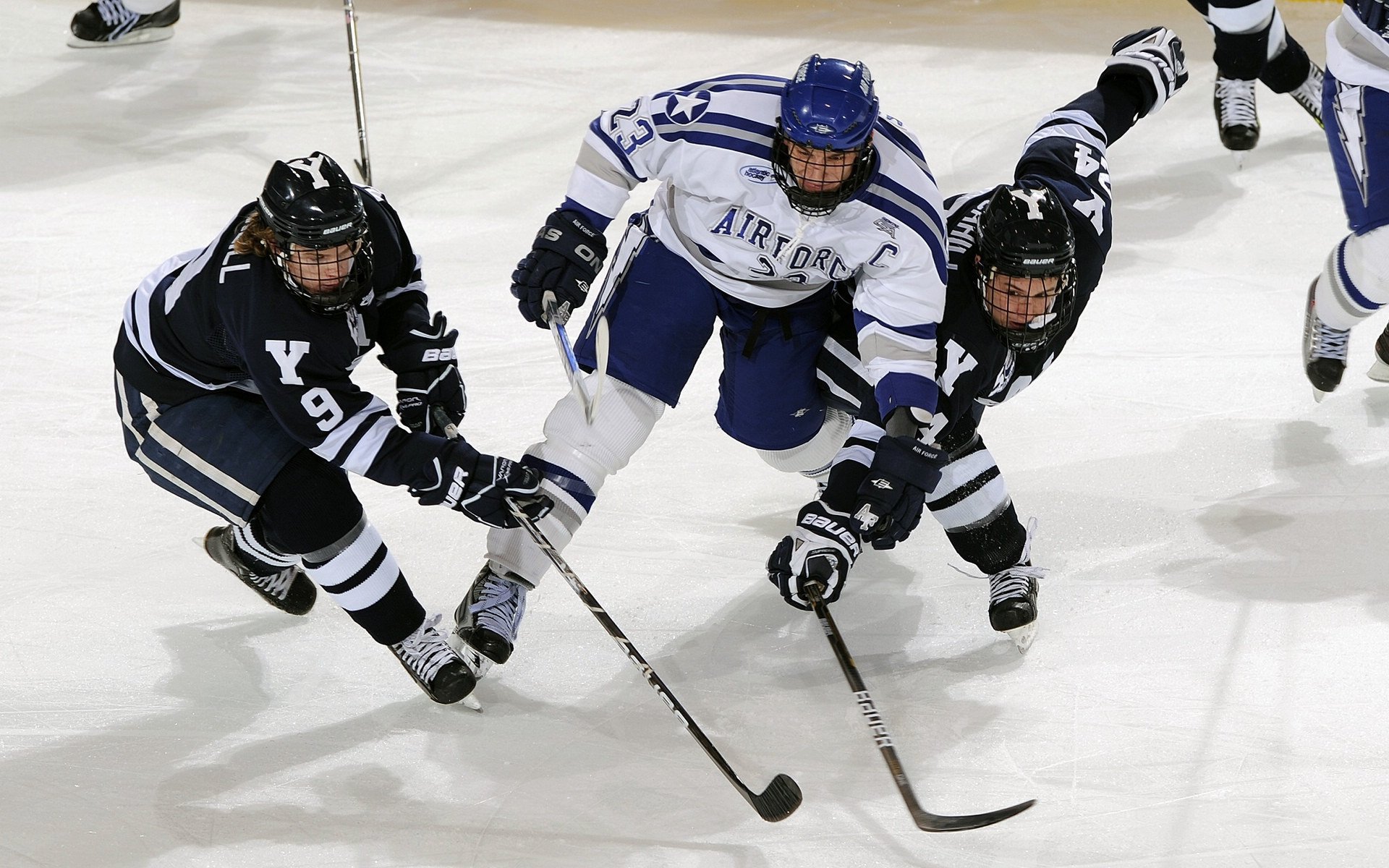 贝林厄姆的独舞,当塞维利亚的弗拉门戈遇上多特蒙德的钢铁意志